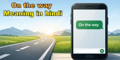 On the way meaning in hindi